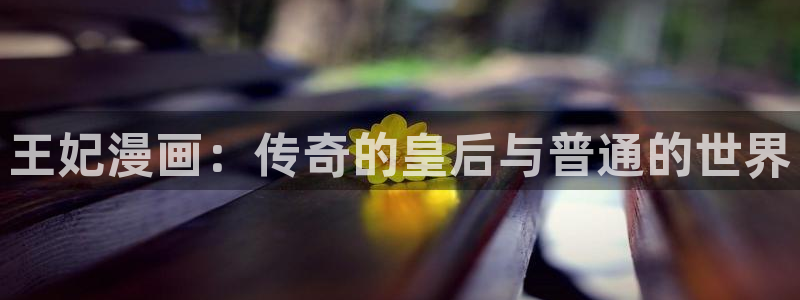 歪歪漫画免费首页进入：王妃漫画：传奇的皇后与普通的世界