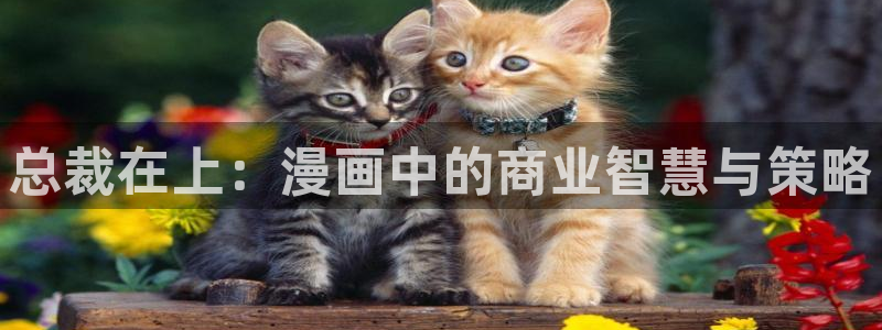 歪歪漫画免费漫画韩漫：总裁在上：漫画中的商业智慧与策略
