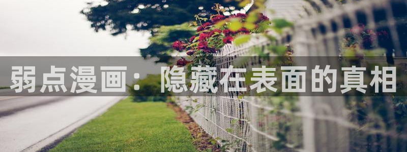 歪歪漫画官网免费观看：弱点漫画：隐藏在表面的真相