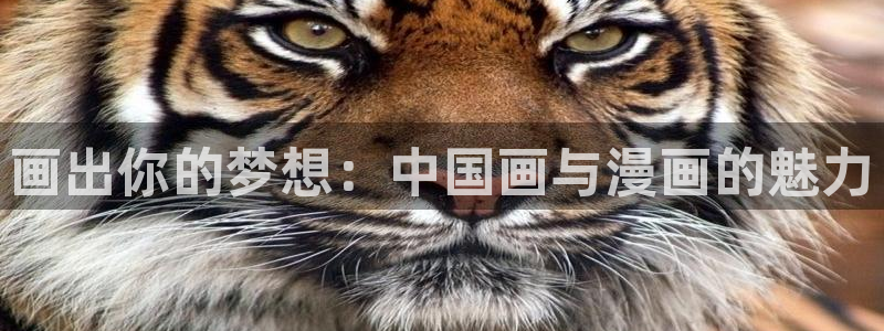 歪歪漫画在线平台：画出你的梦想：中国画与漫画的魅力