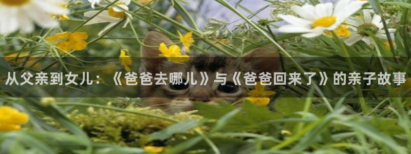 歪歪漫画在线打开
