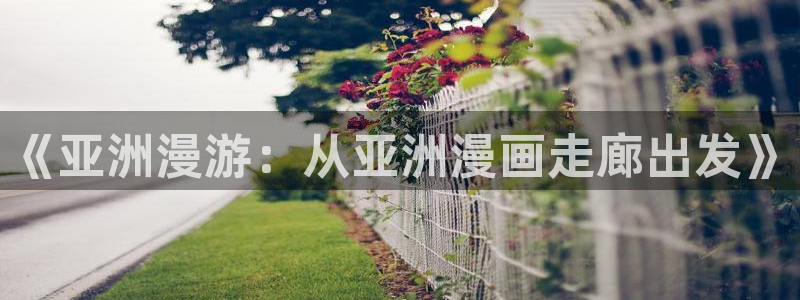歪歪漫画免费观看页面：《亚洲漫游：从亚洲漫画走廊出发》